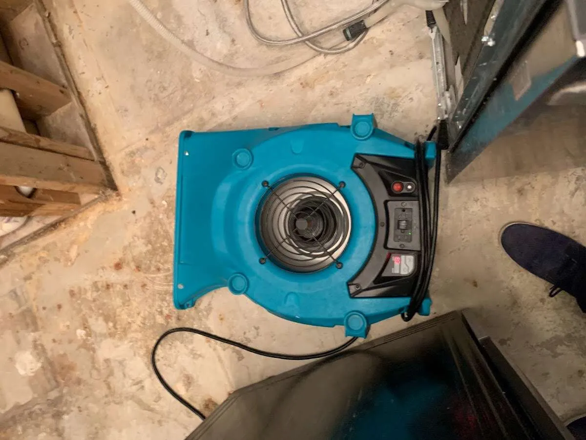 Air mover drying equipment for Mold Remediation & Removal in Roselle